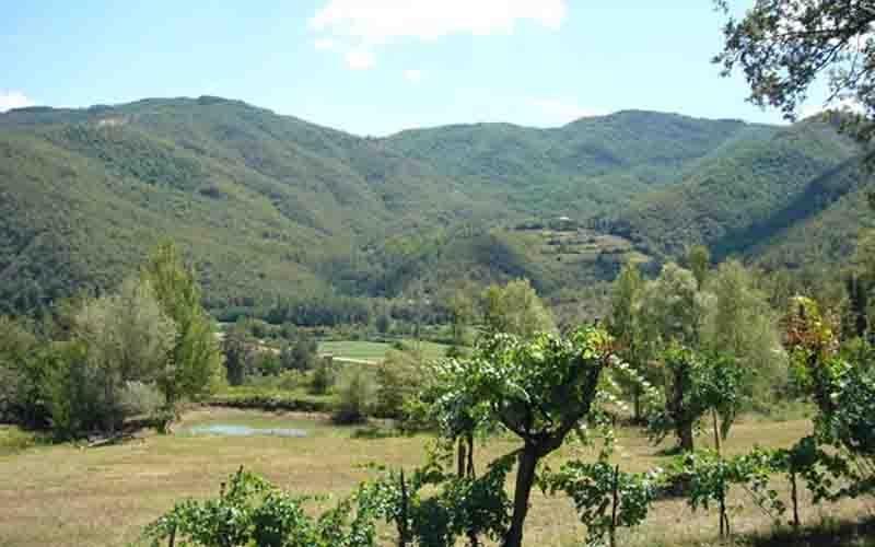 Villa Il Corniolo Morra Екстериор снимка